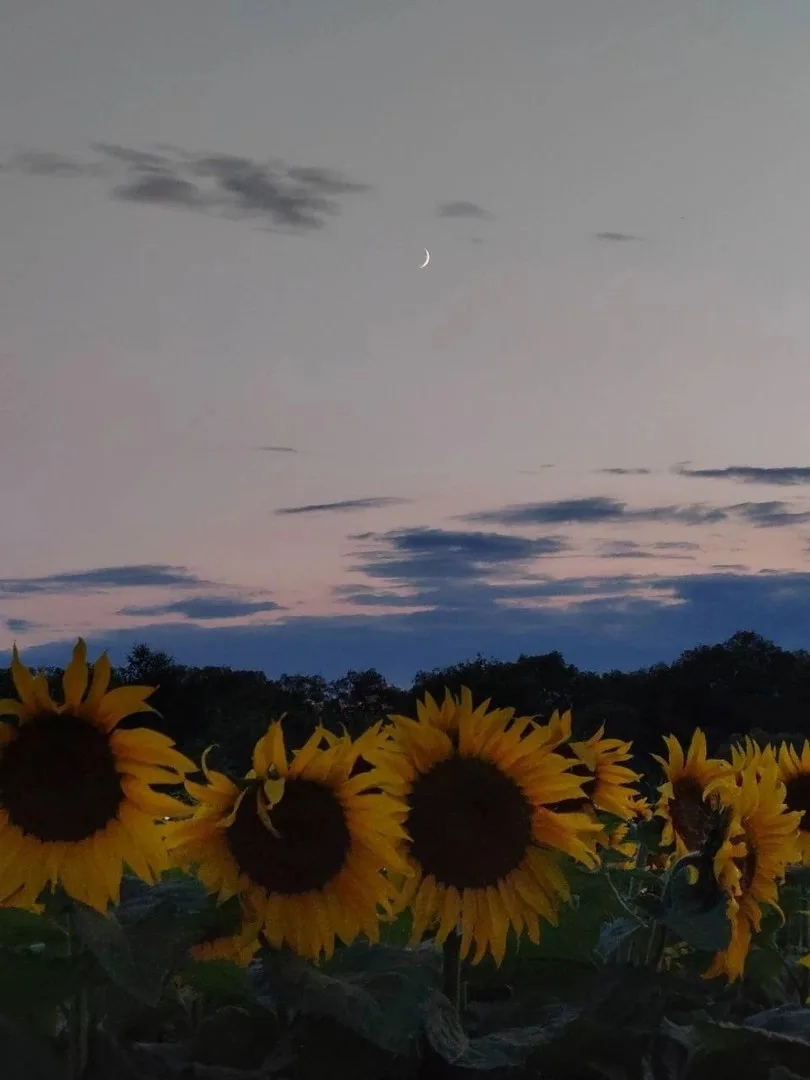 Всероссийский фотофестиваль «Посмотри» .