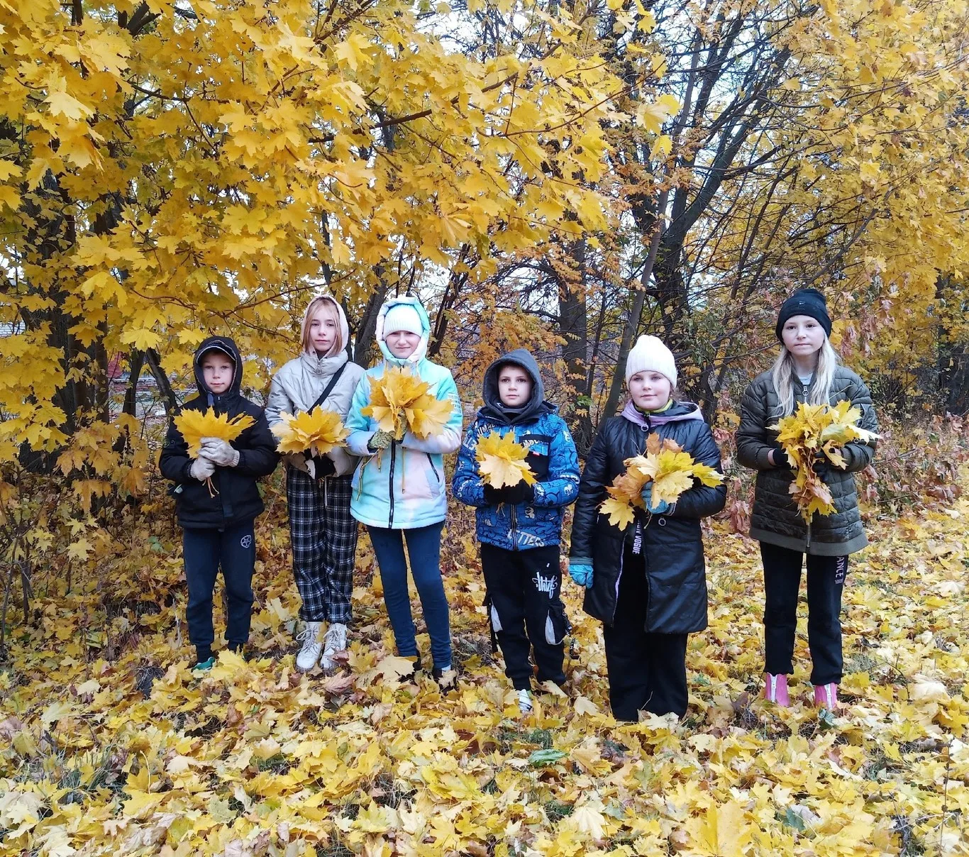 "Краски осени"