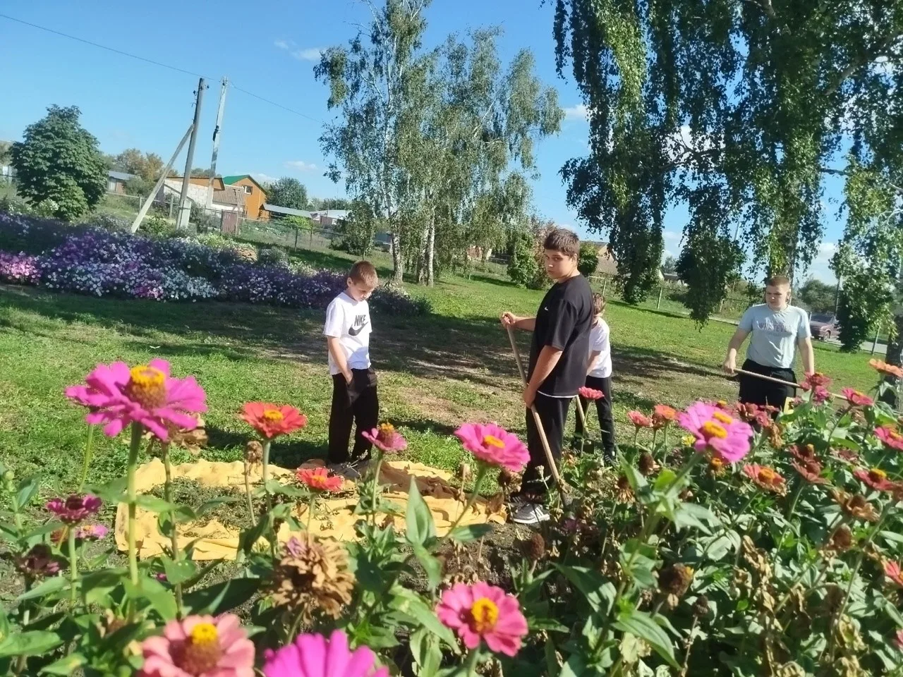 Санитарный час